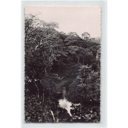 Rare collectable postcards of Cameroon. Vintage Postcards of Cameroon