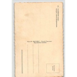 Rare collectable postcards of Cameroon. Vintage Postcards of Cameroon