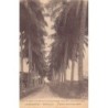 Rare collectable postcards of Cameroon. Vintage Postcards of Cameroon