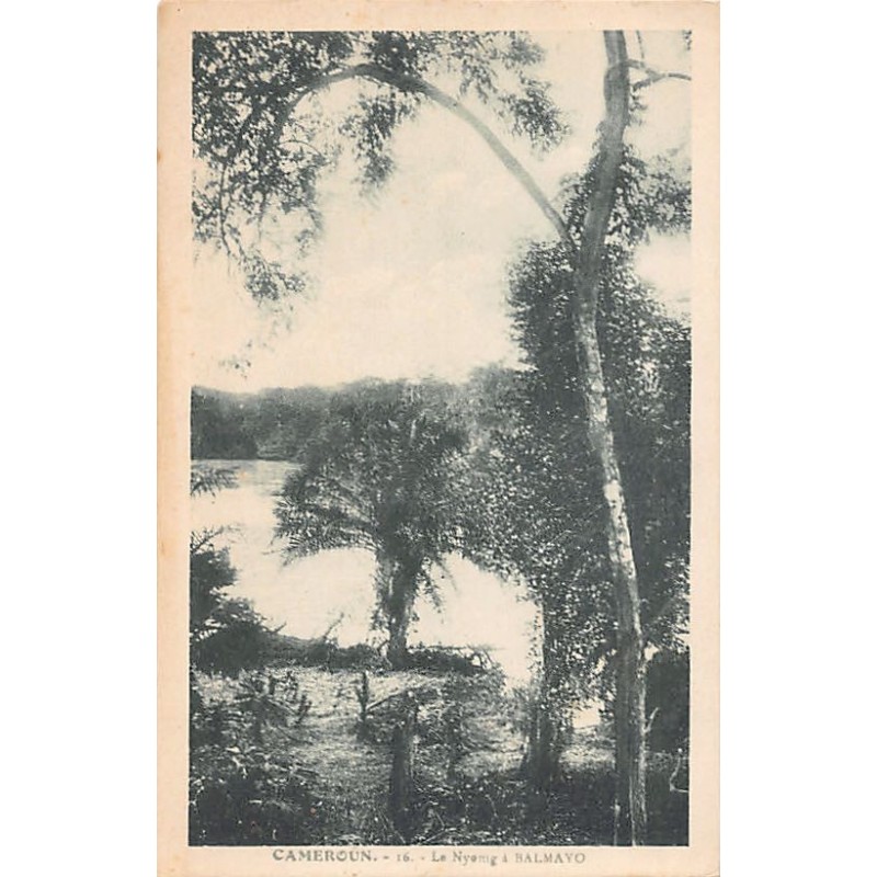 Rare collectable postcards of Cameroon. Vintage Postcards of Cameroon