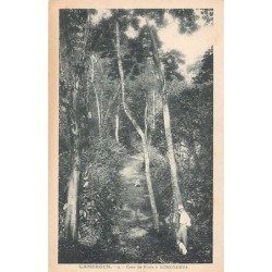 Rare collectable postcards of Cameroon. Vintage Postcards of Cameroon