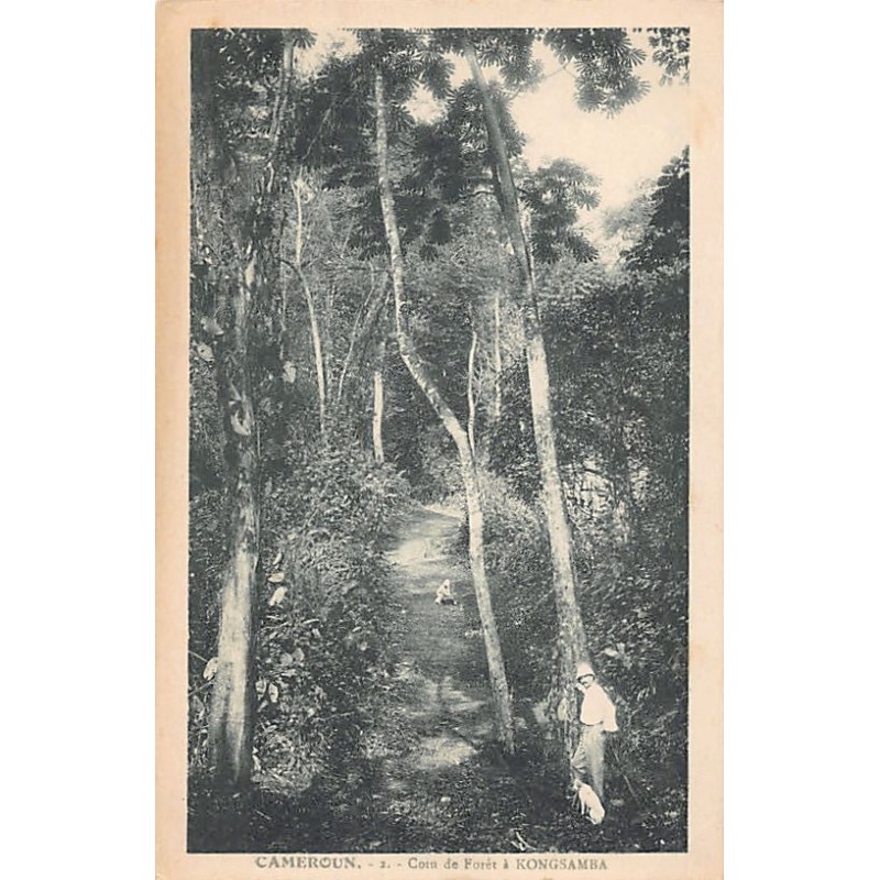 Rare collectable postcards of Cameroon. Vintage Postcards of Cameroon