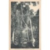 Rare collectable postcards of Cameroon. Vintage Postcards of Cameroon