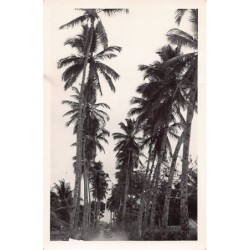 Rare collectable postcards of Cameroon. Vintage Postcards of Cameroon