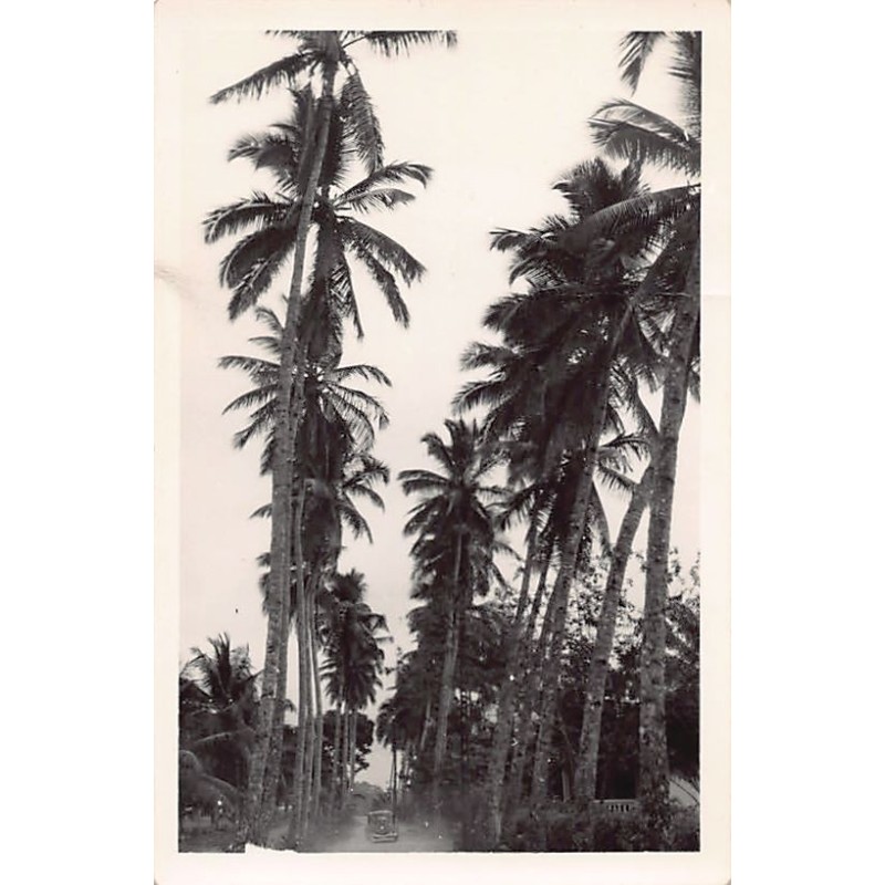 Rare collectable postcards of Cameroon. Vintage Postcards of Cameroon