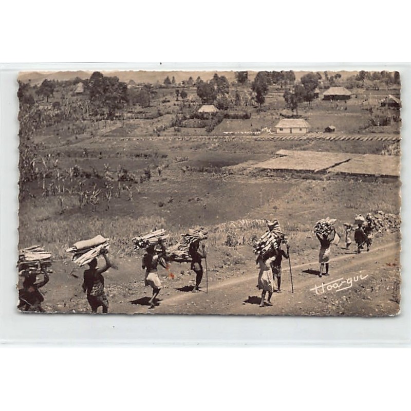 Rare collectable postcards of Cameroon. Vintage Postcards of Cameroon