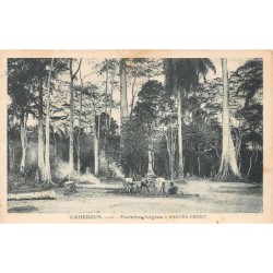 Rare collectable postcards of Cameroon. Vintage Postcards of Cameroon