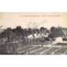 Rare collectable postcards of Senegal. Vintage Postcards of Senegal