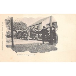 Rare collectable postcards of Senegal. Vintage Postcards of Senegal