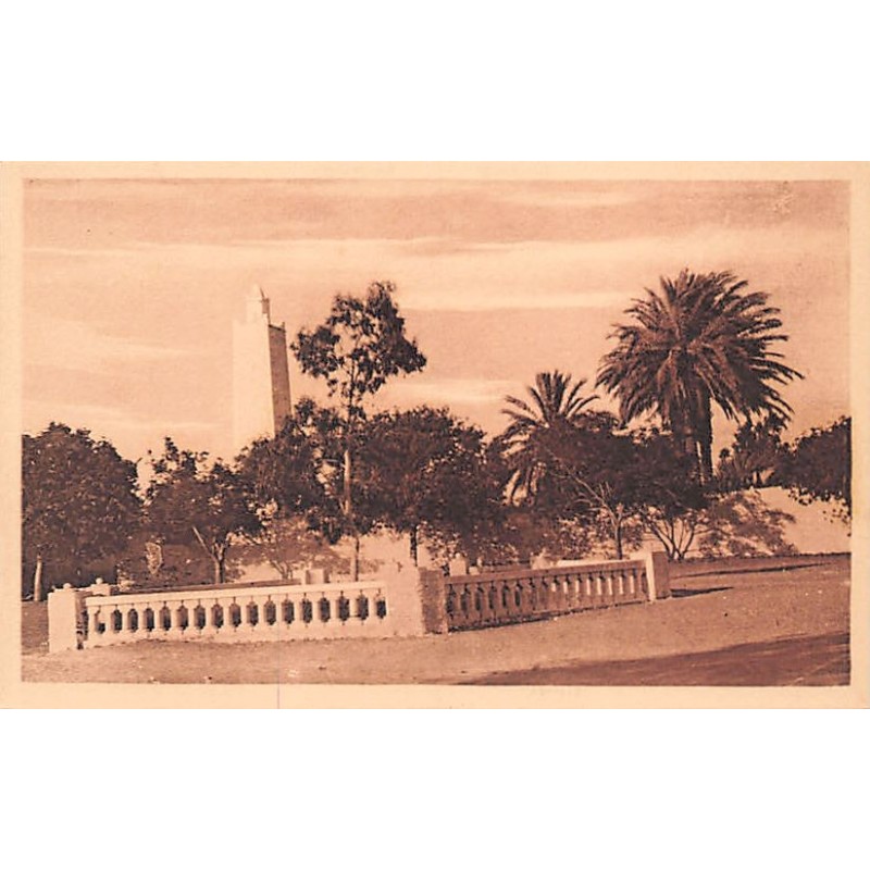 Rare collectable postcards of Algeria. Vintage Postcards of Algeria