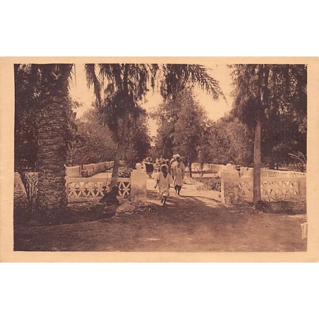 Rare collectable postcards of Algeria. Vintage Postcards of Algeria