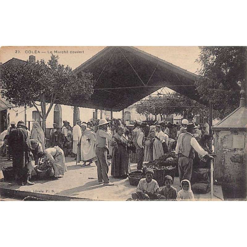 Rare collectable postcards of Algeria. Vintage Postcards of Algeria