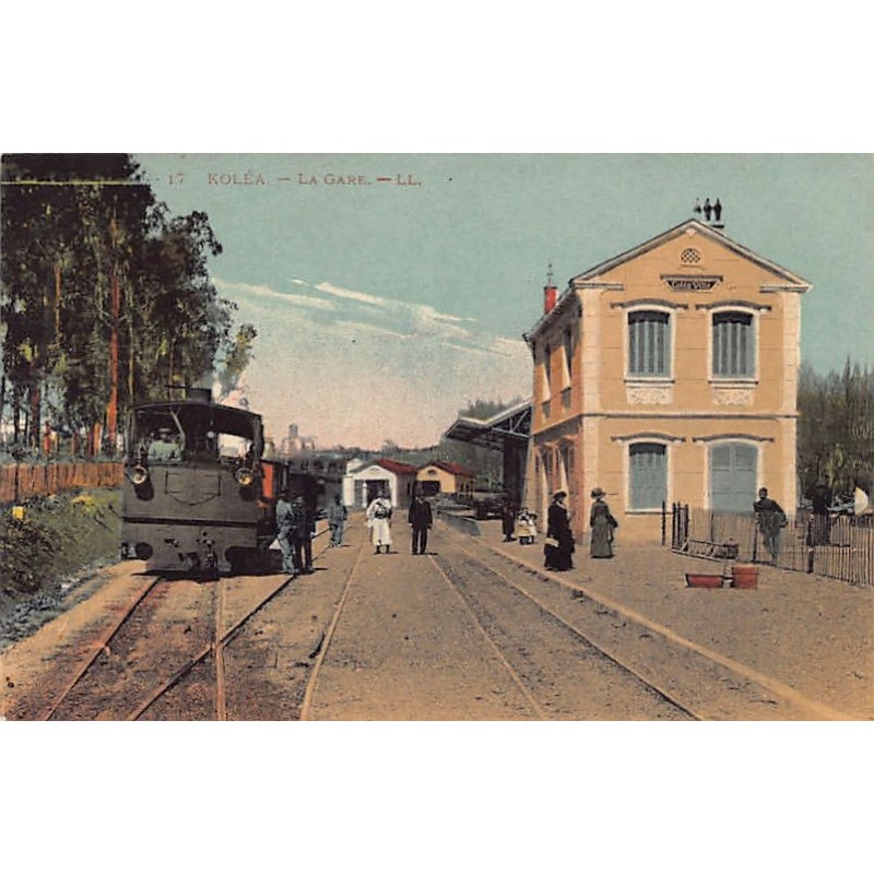 Rare collectable postcards of Algeria. Vintage Postcards of Algeria