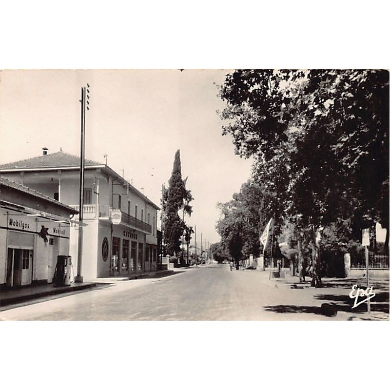 Rare collectable postcards of Algeria. Vintage Postcards of Algeria