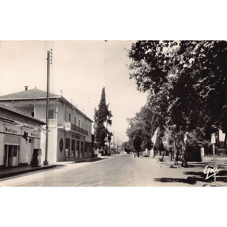 Rare collectable postcards of Algeria. Vintage Postcards of Algeria