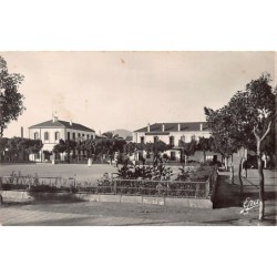 Rare collectable postcards of Algeria. Vintage Postcards of Algeria