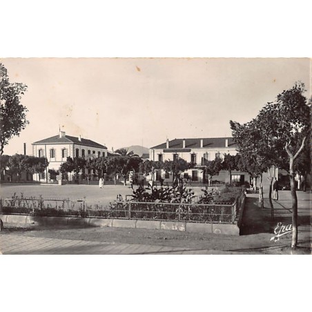 Rare collectable postcards of Algeria. Vintage Postcards of Algeria