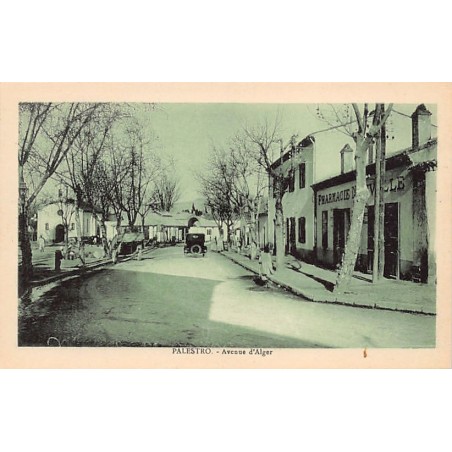 Rare collectable postcards of Algeria. Vintage Postcards of Algeria