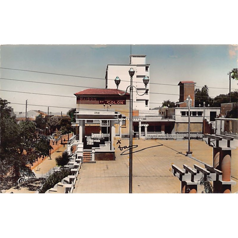 Rare collectable postcards of Algeria. Vintage Postcards of Algeria