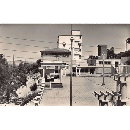 Rare collectable postcards of Algeria. Vintage Postcards of Algeria