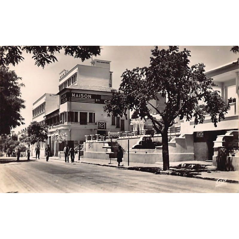 Rare collectable postcards of Algeria. Vintage Postcards of Algeria