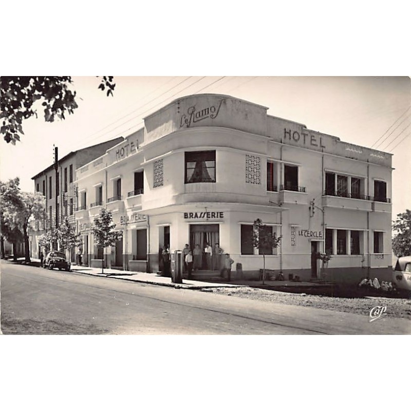 Rare collectable postcards of Algeria. Vintage Postcards of Algeria