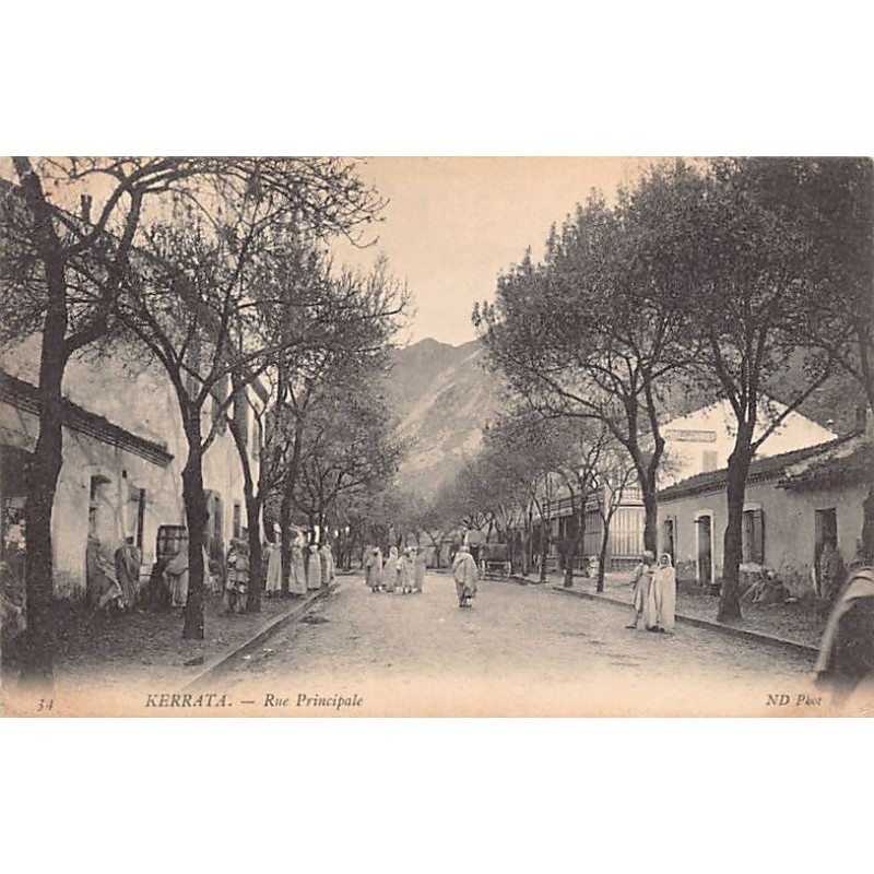 Rare collectable postcards of Algeria. Vintage Postcards of Algeria