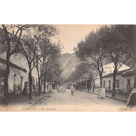 Rare collectable postcards of Algeria. Vintage Postcards of Algeria