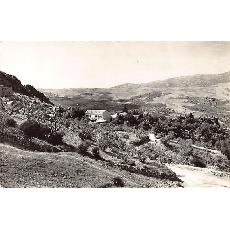 Rare collectable postcards of Algeria. Vintage Postcards of Algeria