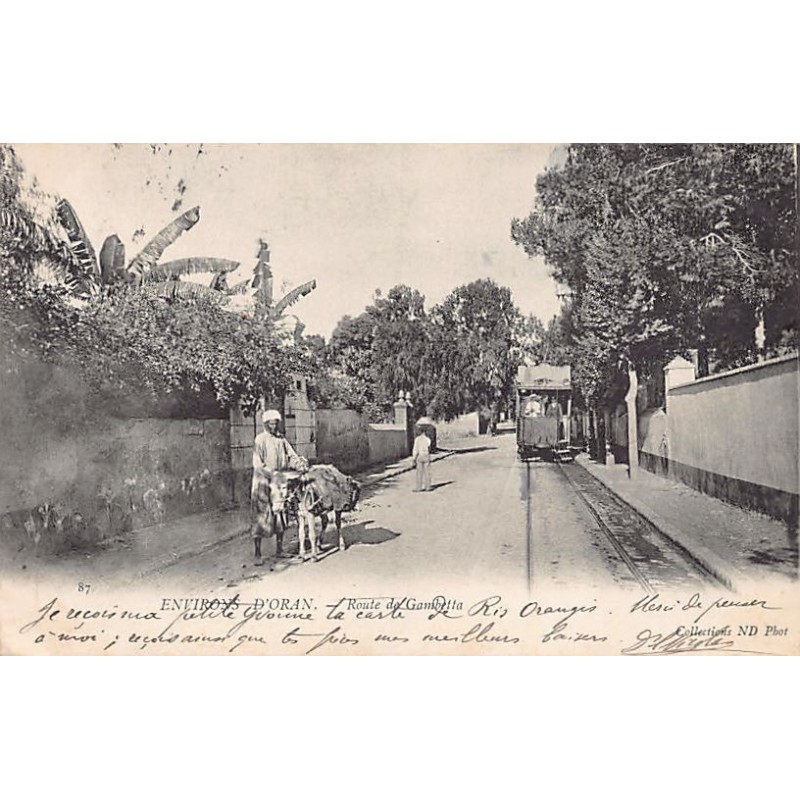 Rare collectable postcards of Algeria. Vintage Postcards of Algeria