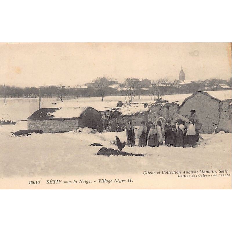 Rare collectable postcards of Algeria. Vintage Postcards of Algeria