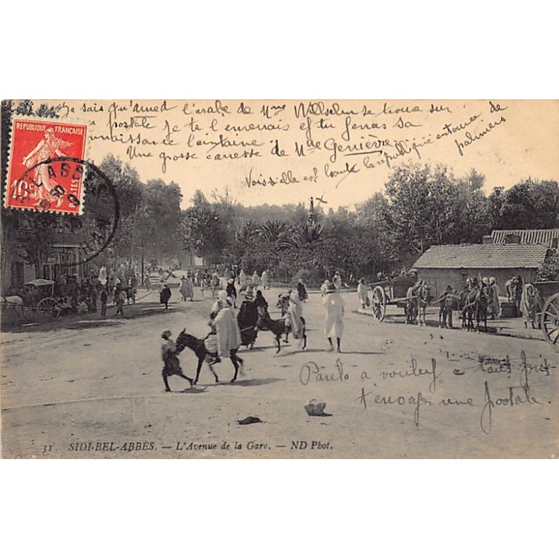 Rare collectable postcards of Algeria. Vintage Postcards of Algeria