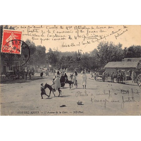 Rare collectable postcards of Algeria. Vintage Postcards of Algeria