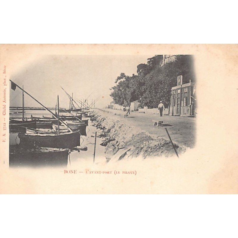 Rare collectable postcards of Algeria. Vintage Postcards of Algeria