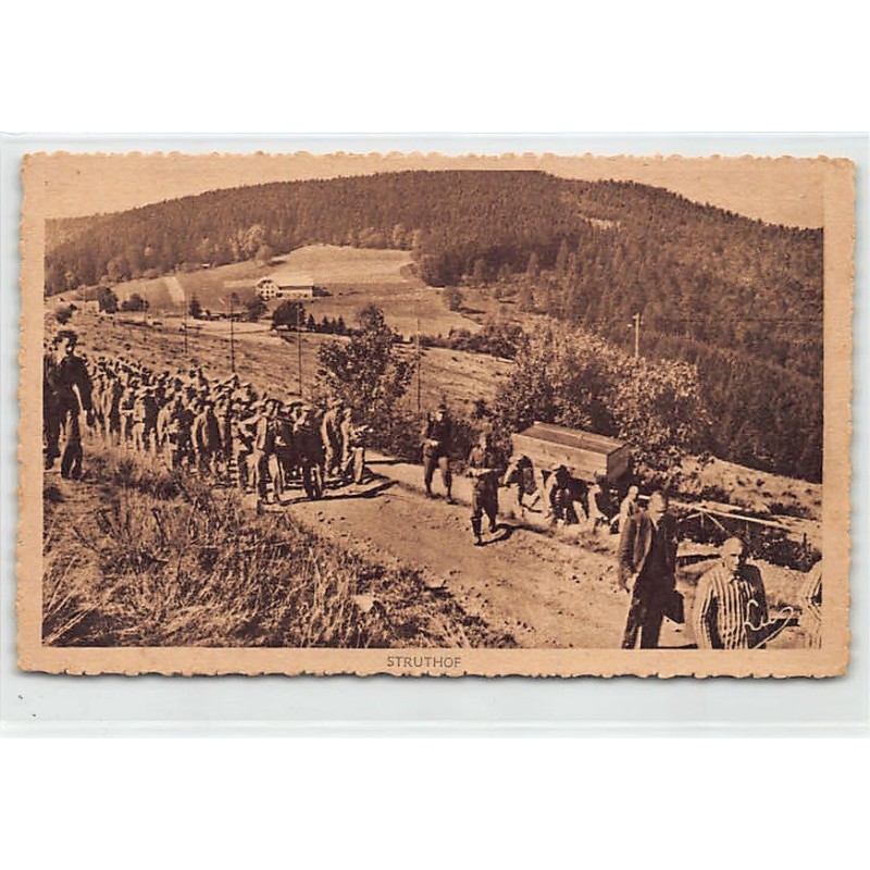 Rare collectable postcards of France. Vintage Postcards of France