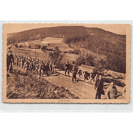 Rare collectable postcards of France. Vintage Postcards of France