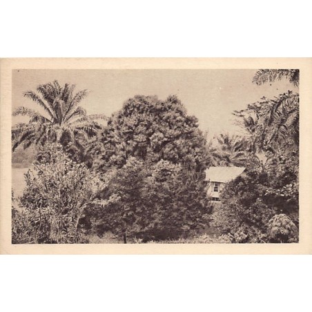 Rare collectable postcards of Gabon. Vintage Postcards of Gabon