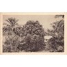 Rare collectable postcards of Gabon. Vintage Postcards of Gabon