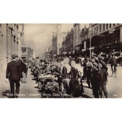 Rare collectable postcards of South Africa. Vintage Postcards of South Africa