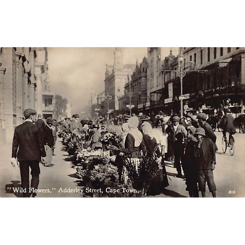Rare collectable postcards of South Africa. Vintage Postcards of South Africa