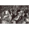 Rare collectable postcards of South Africa. Vintage Postcards of South Africa