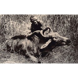 Rare collectable postcards of South Africa. Vintage Postcards of South Africa