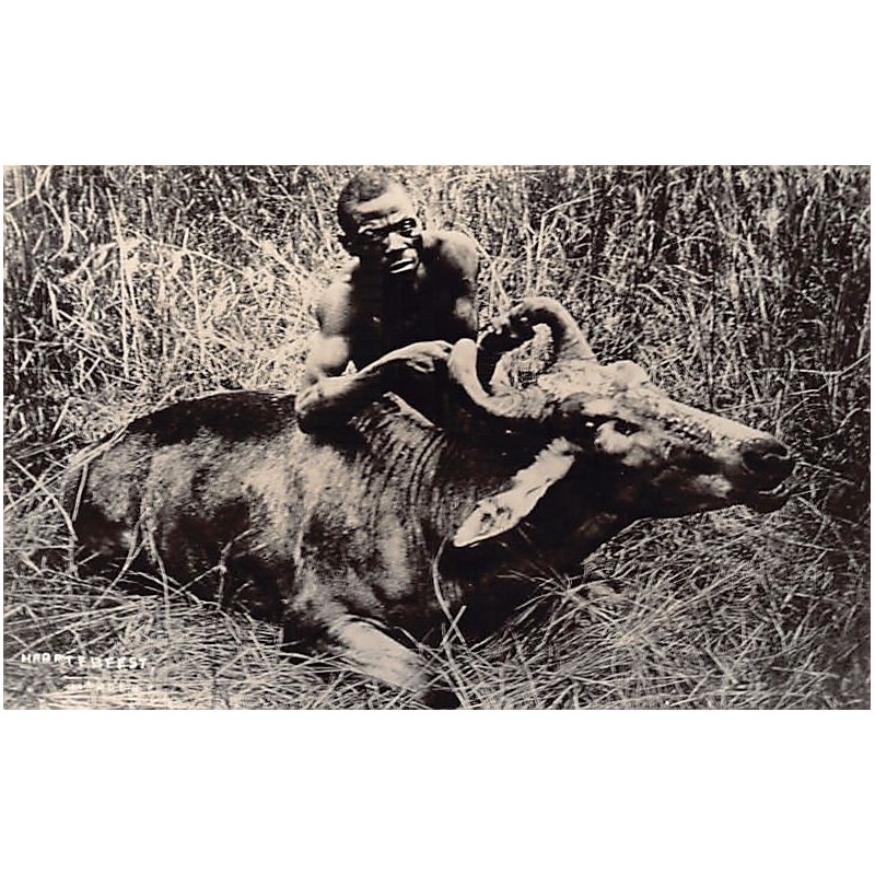 Rare collectable postcards of South Africa. Vintage Postcards of South Africa