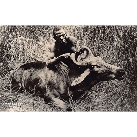 Rare collectable postcards of South Africa. Vintage Postcards of South Africa