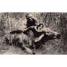 Rare collectable postcards of South Africa. Vintage Postcards of South Africa