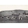 Rare collectable postcards of South Africa. Vintage Postcards of South Africa