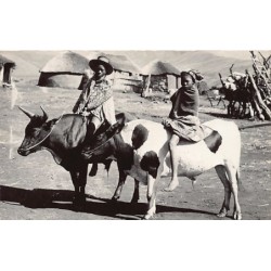 Rare collectable postcards of South Africa. Vintage Postcards of South Africa