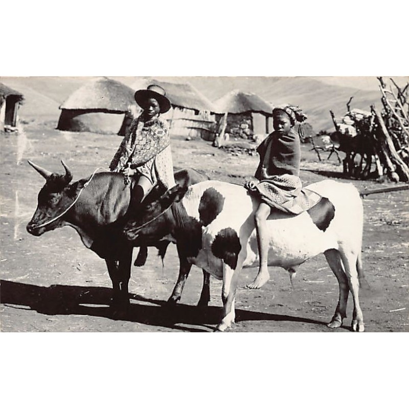 Rare collectable postcards of South Africa. Vintage Postcards of South Africa