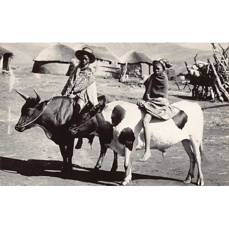 Rare collectable postcards of South Africa. Vintage Postcards of South Africa