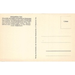 Rare collectable postcards of South Africa. Vintage Postcards of South Africa